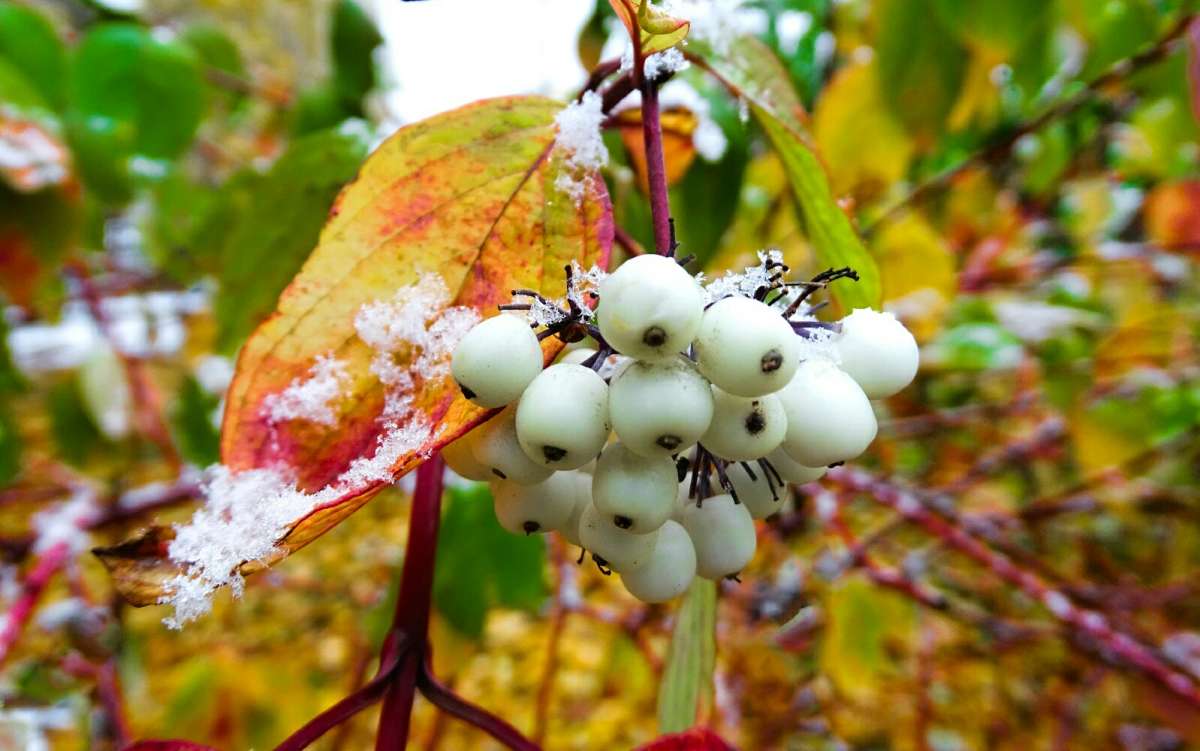 ����� ����� ��������. ����� �������� �������� �� PhotoGeek.ru #����� #�����