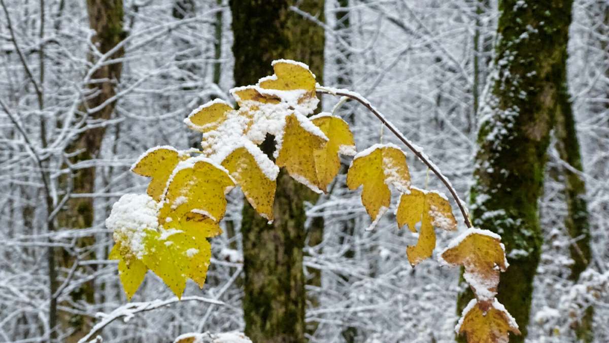 ����� ���������. ����� �������� �������� �� PhotoGeek.ru #����� #�����