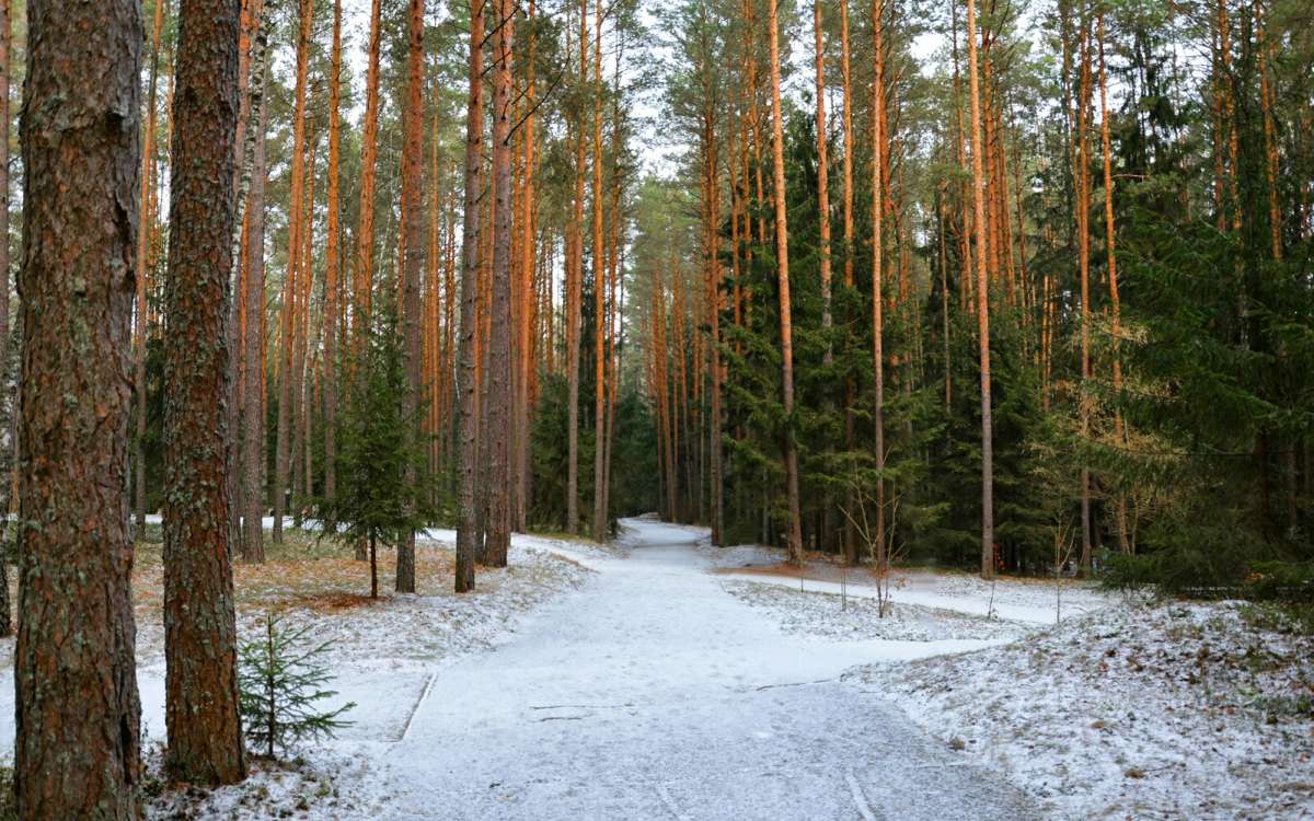 ������ � ��������� ���� ����� �������� �������� �� PhotoGeek.ru #������ ��� �������