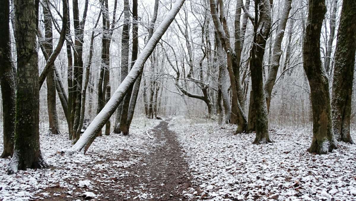� ��������� �����. ����� �������� �������� �� PhotoGeek.ru #����� #������ ��� �������