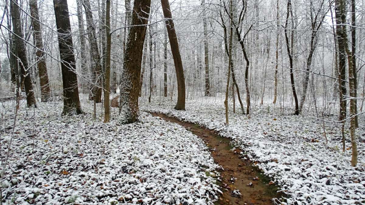 � ��������� �����. ����� �������� �������� �� PhotoGeek.ru #����� #������ ��� �������