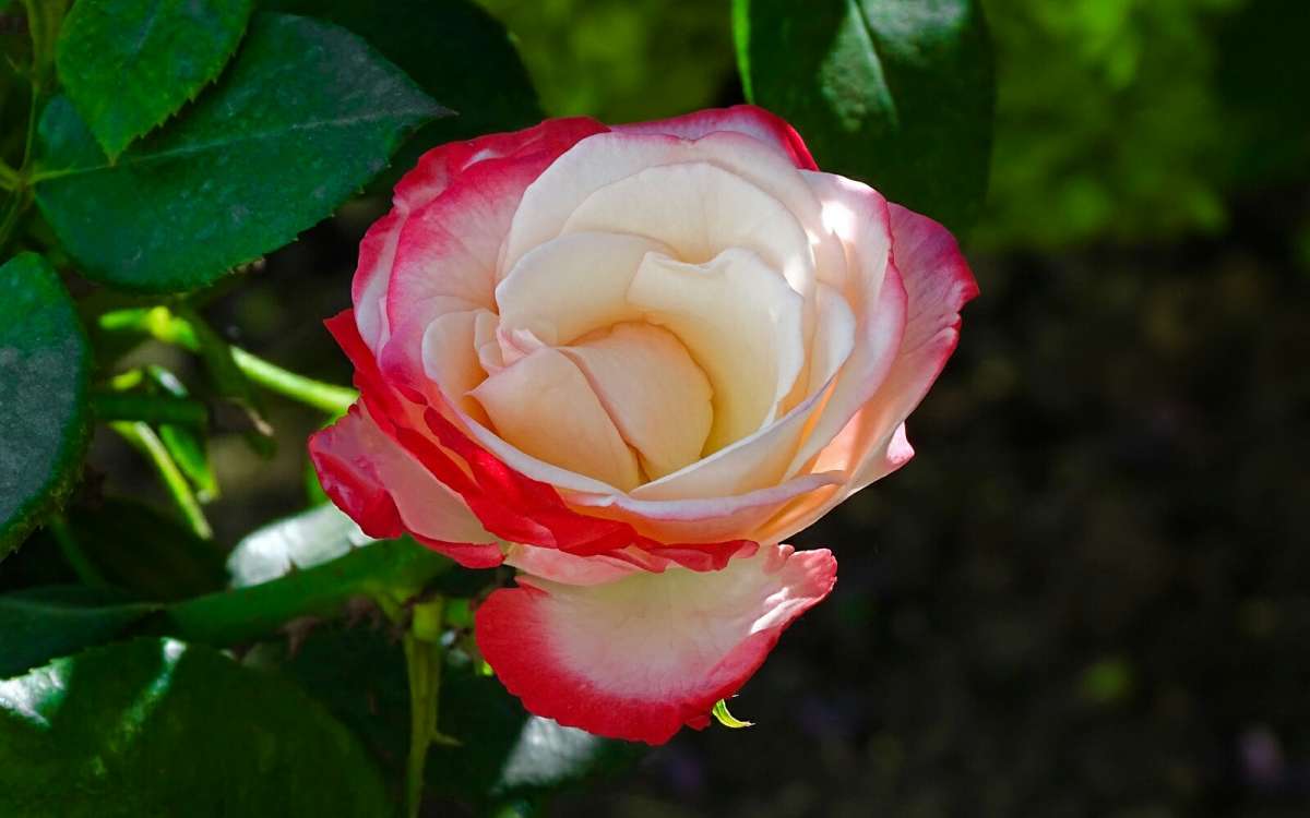 ����� ���� �� ��������� ������ � �������. ����� �������� �������� �� PhotoGeek.ru #����� #�����