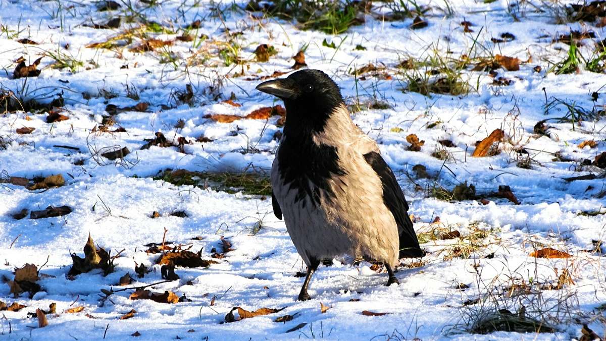 ������ �������� ������ �� ������� �����. ����� �������� �������� �� PhotoGeek.ru #����� #�������� ���