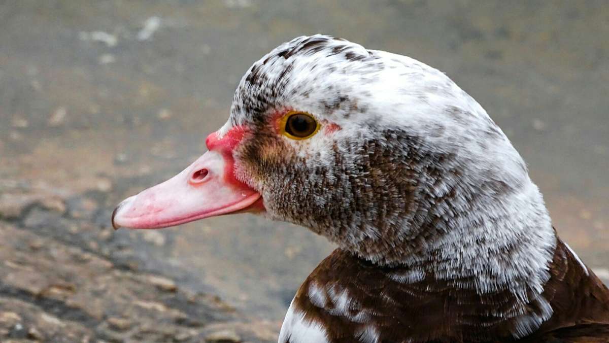 ������� ��������� ����. ����� �������� �������� �� PhotoGeek.ru #�������� ���