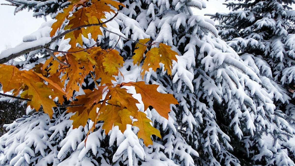 �������� ������ ����� �������� �������� �� PhotoGeek.ru #����� #����� #������ ��� �������