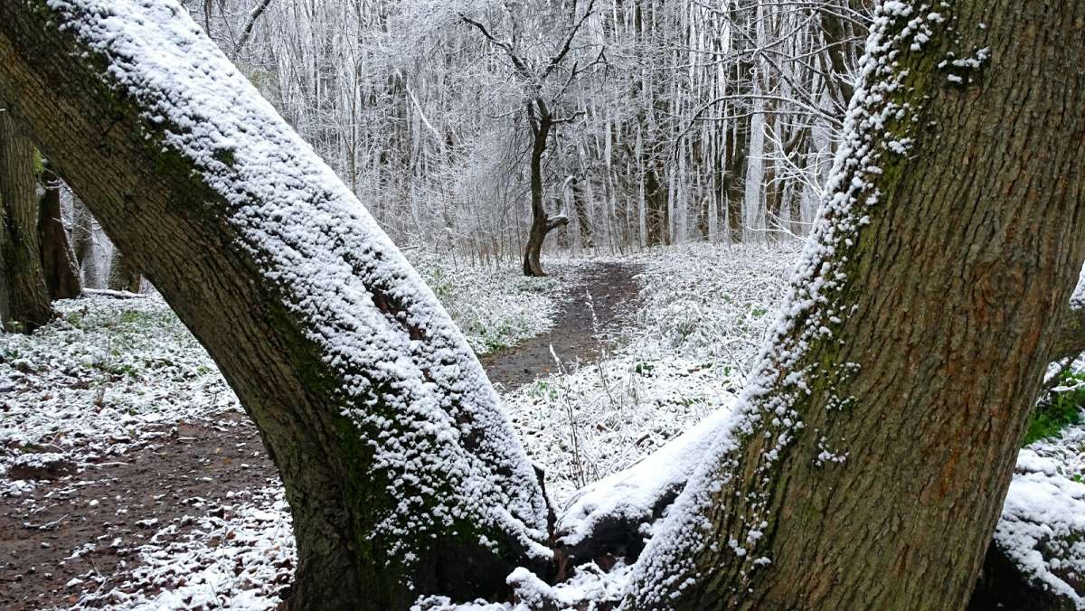 ��������� ���� � ������ ����� �������� �������� �� PhotoGeek.ru #����� #������ ��� �������