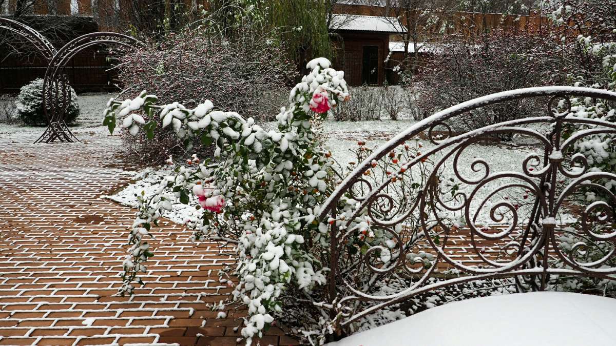 ������ ���� � ������. ����� �������� �������� �� PhotoGeek.ru #����� #������ ��� ������� #�����������