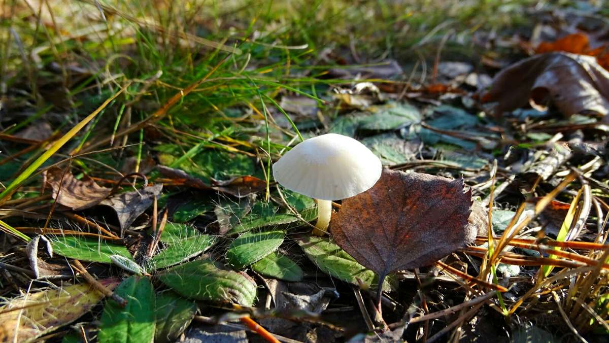 ����� ������. ����� �������� �������� �� PhotoGeek.ru #����� #������ ��� �������