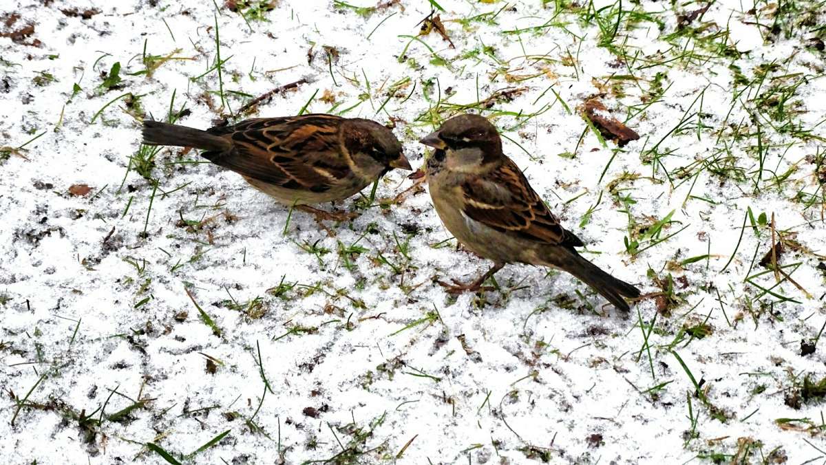 ������� "����������� '. ����� �������� �������� �� PhotoGeek.ru #����� #�������� ���