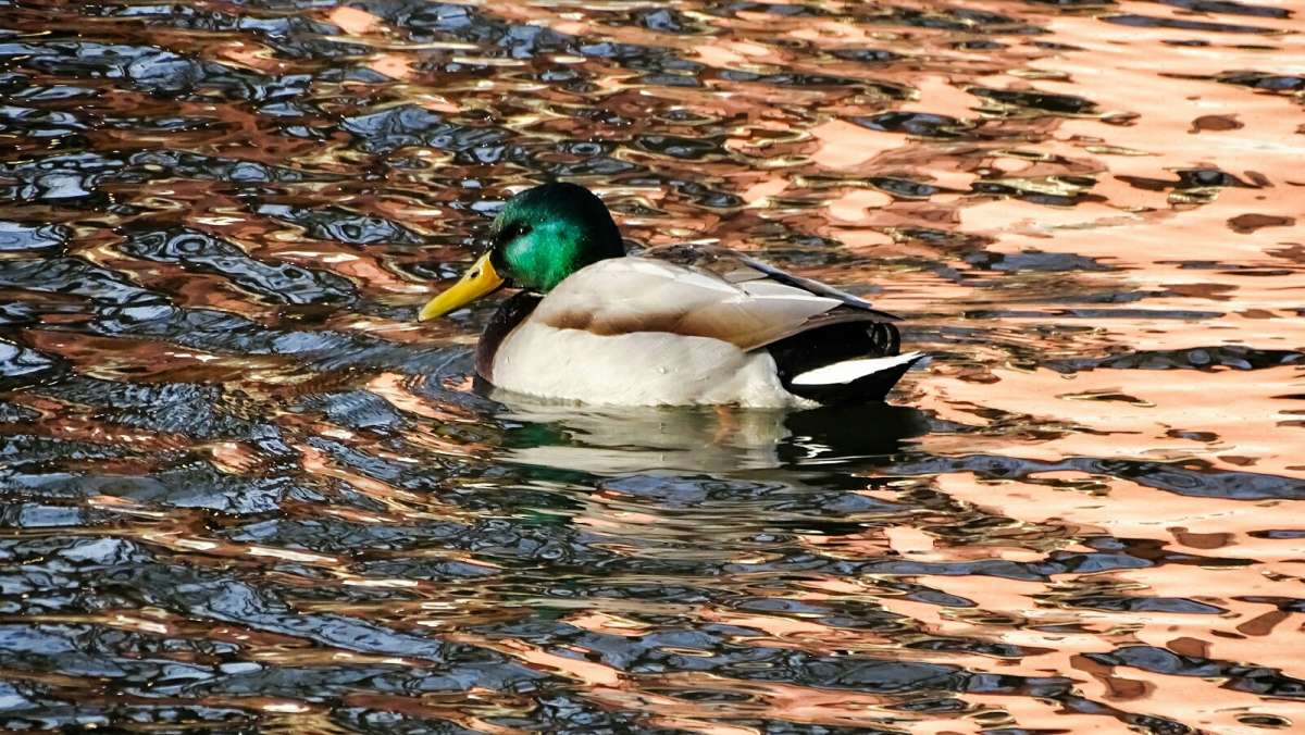 �������� � "�������" ����. ����� �������� �������� �� PhotoGeek.ru #����� #�������� ���