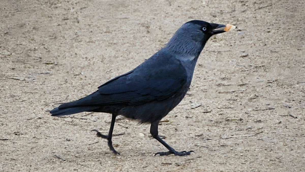 ����� ����� ������� �����. ����� �������� �������� �� PhotoGeek.ru #����� #�������� ���