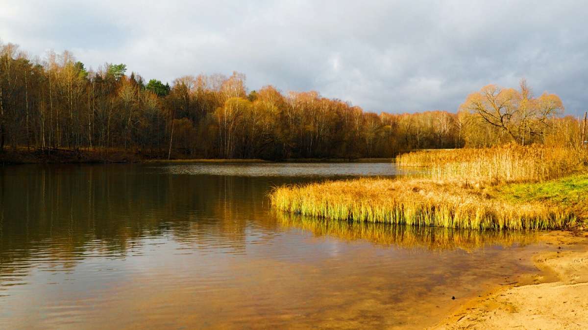 ������� ����. ����� �������� �������� �� PhotoGeek.ru #������ ��� �������