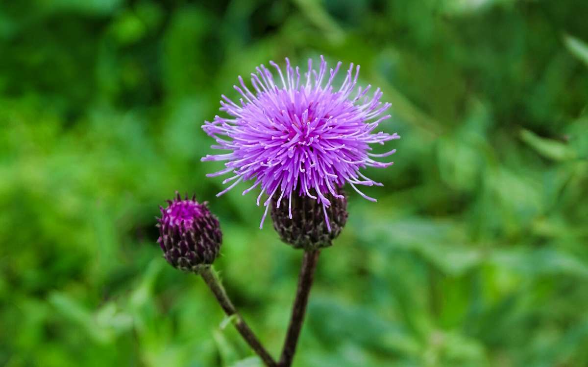 ����� ���������� � ������� ����� �������� �������� �� PhotoGeek.ru #�����