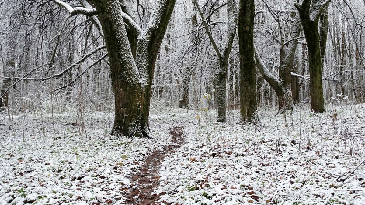 � �� - ���� ���� ���. ����� �������� �������� �� PhotoGeek.ru #������ ��� �������