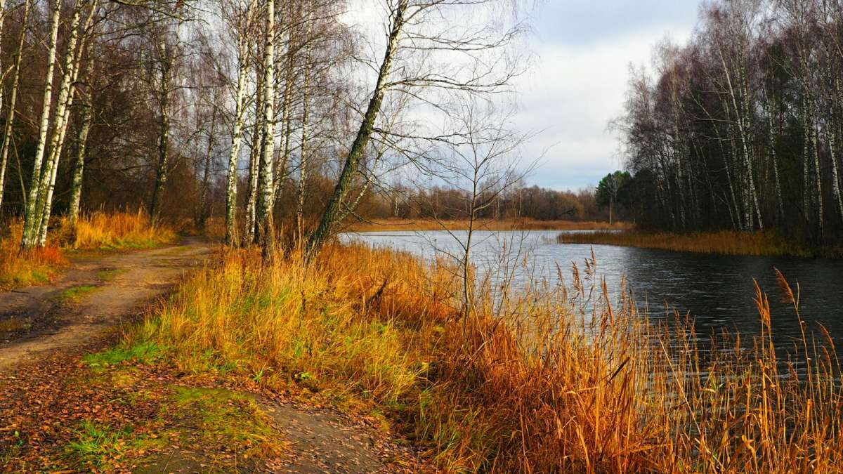 ������� ������. ����� �������� �������� �� PhotoGeek.ru #������ ��� �������