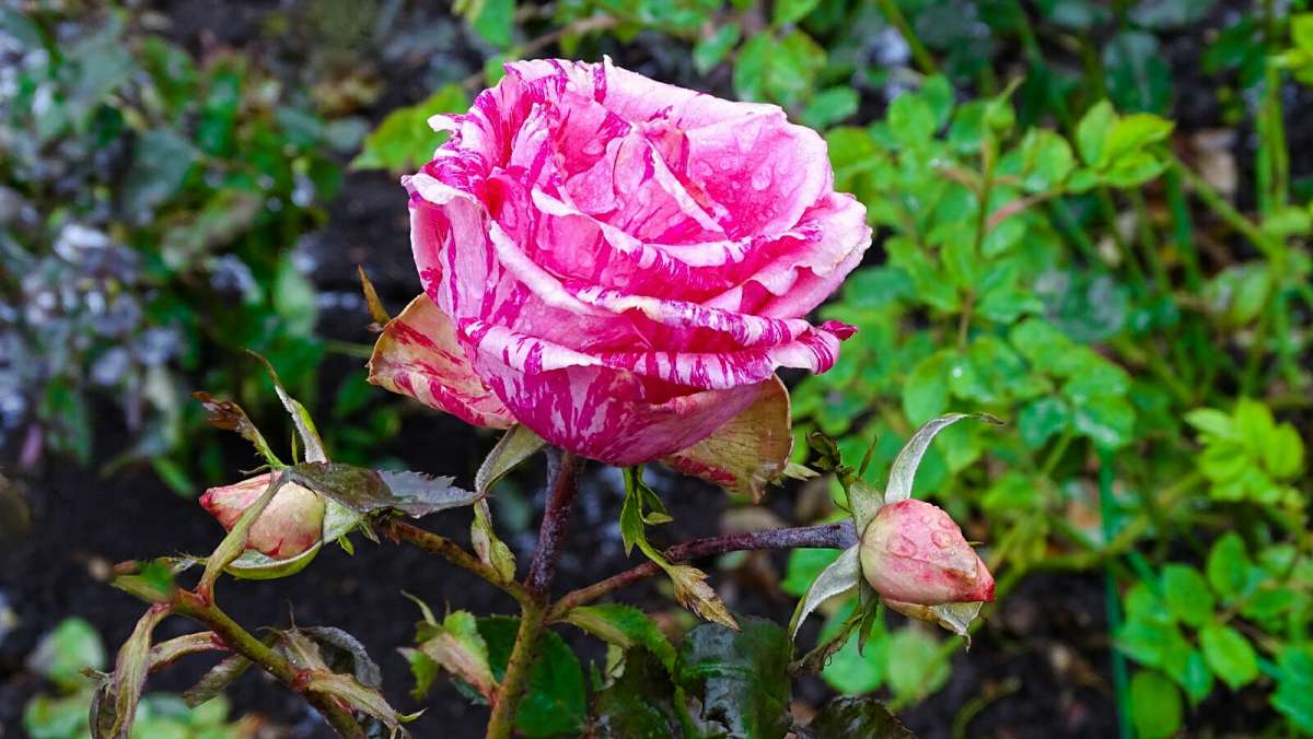 ����� ���� � ������. ����� �������� �������� �� PhotoGeek.ru #����� #�����