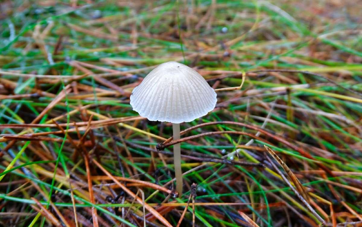 ������. ����� �������� �������� �� PhotoGeek.ru #����� #������ ��� �������