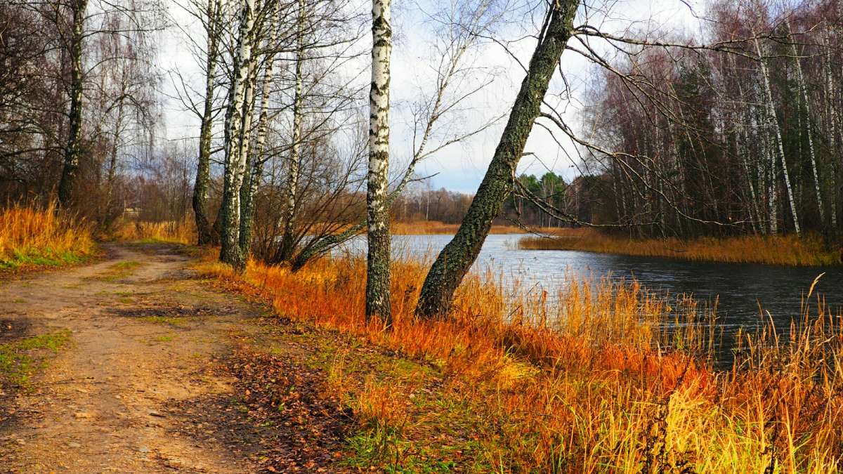 ��� ����� ����� �������� �������� �� PhotoGeek.ru #������ ��� �������