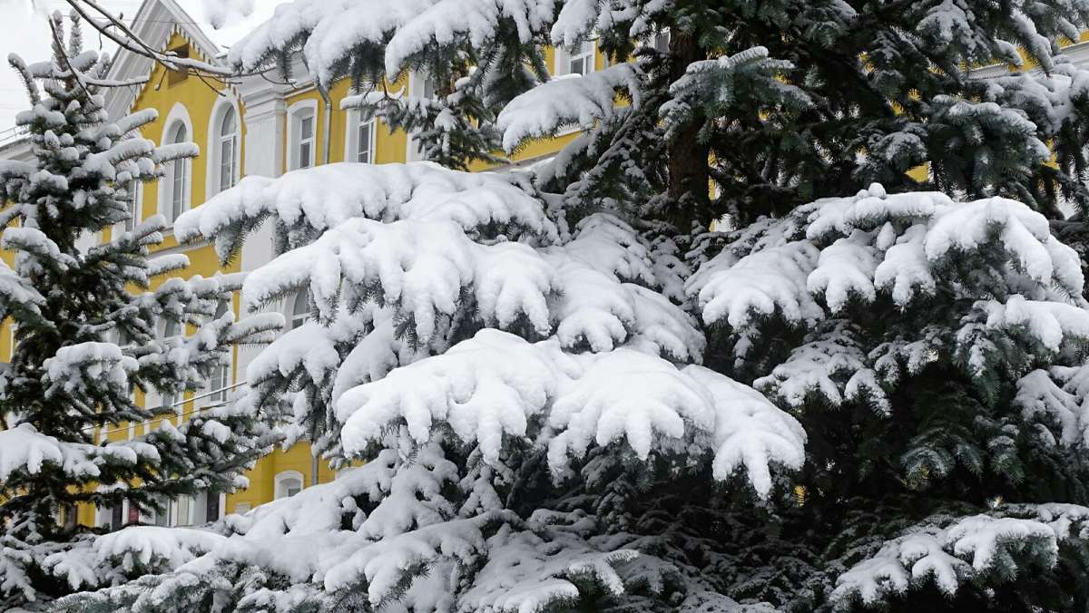 �������� ������. ����� �������� �������� �� PhotoGeek.ru #������ ��� �������