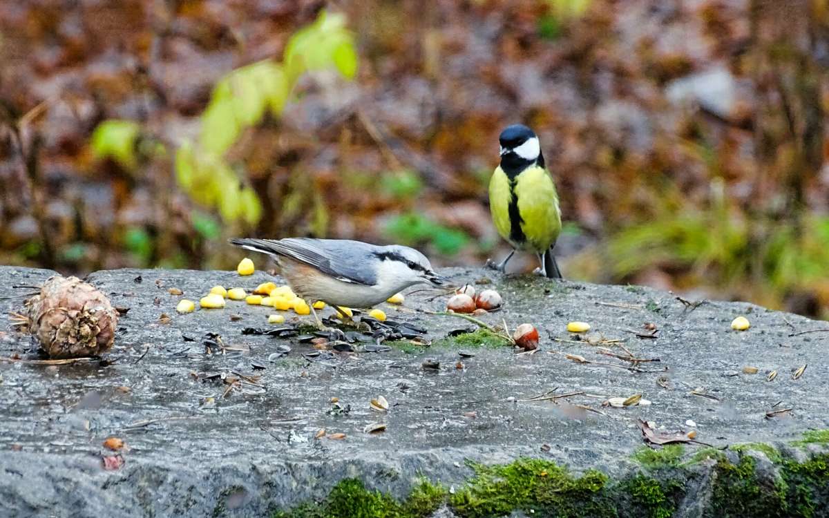 � ������ �������� �������. ����� �������� �������� �� PhotoGeek.ru #�������� ���