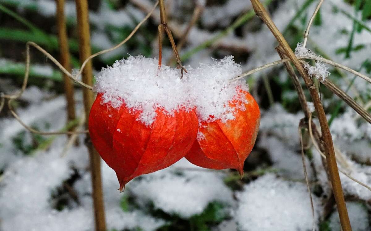 ����������� ������ �������. ����� �������� �������� �� PhotoGeek.ru #����� #�����