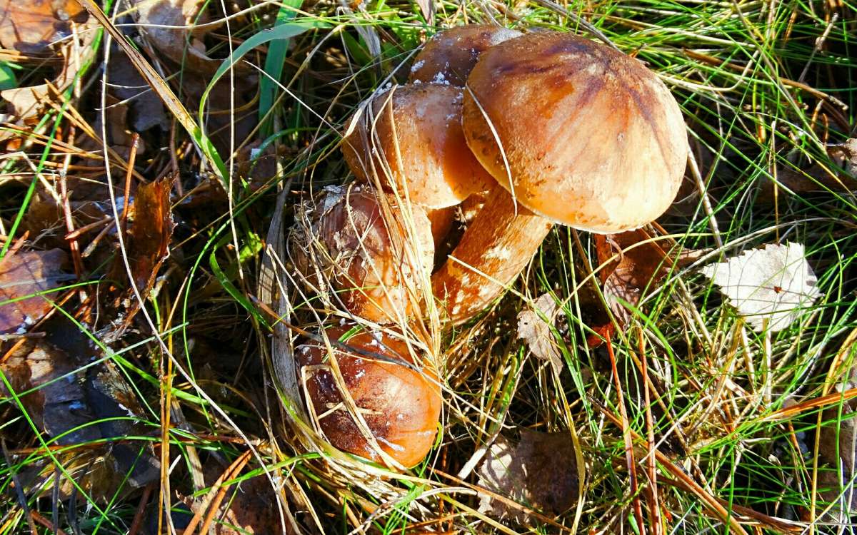 ������� �����. ����� �������� �������� �� PhotoGeek.ru #����� #������ ��� �������