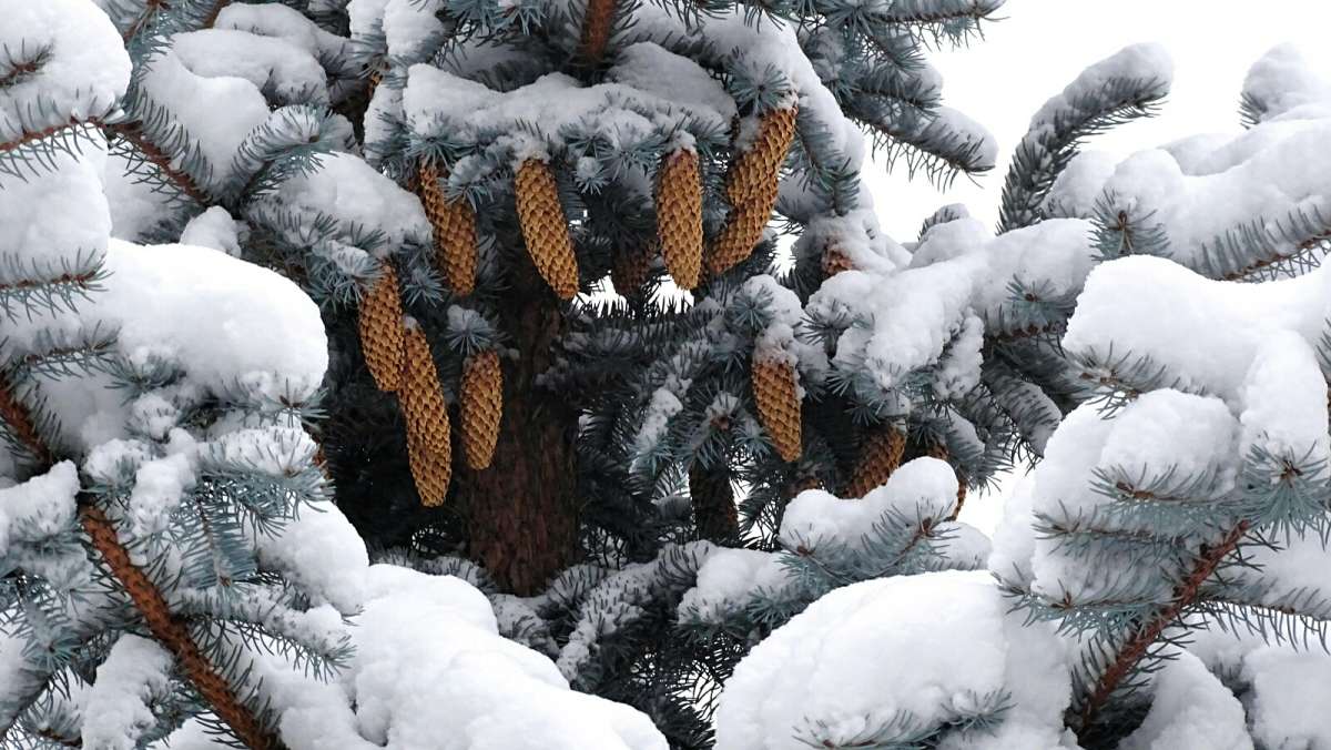 ����� ����� ���������. ����� �������� �������� �� PhotoGeek.ru #����� #����� #������ ��� �������