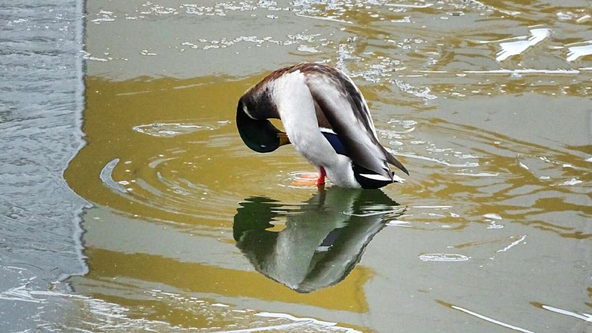 �������� ���������������. ����� �������� �������� �� PhotoGeek.ru #����� #�������� ���