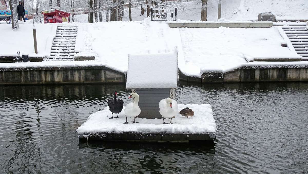 ������������� � ��������� ����. ����� �������� �������� �� PhotoGeek.ru #����� #�������� ��� #�����������