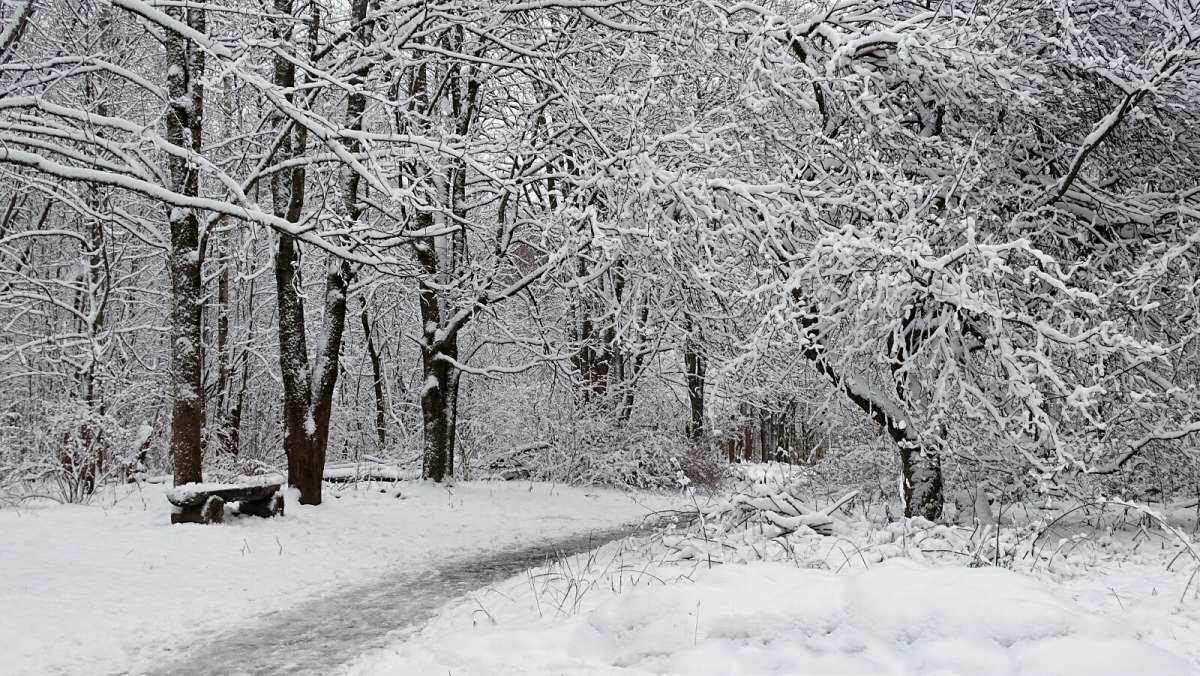 ����������� ��������� ����. ����� �������� �������� �� PhotoGeek.ru #����� #������ ��� �������