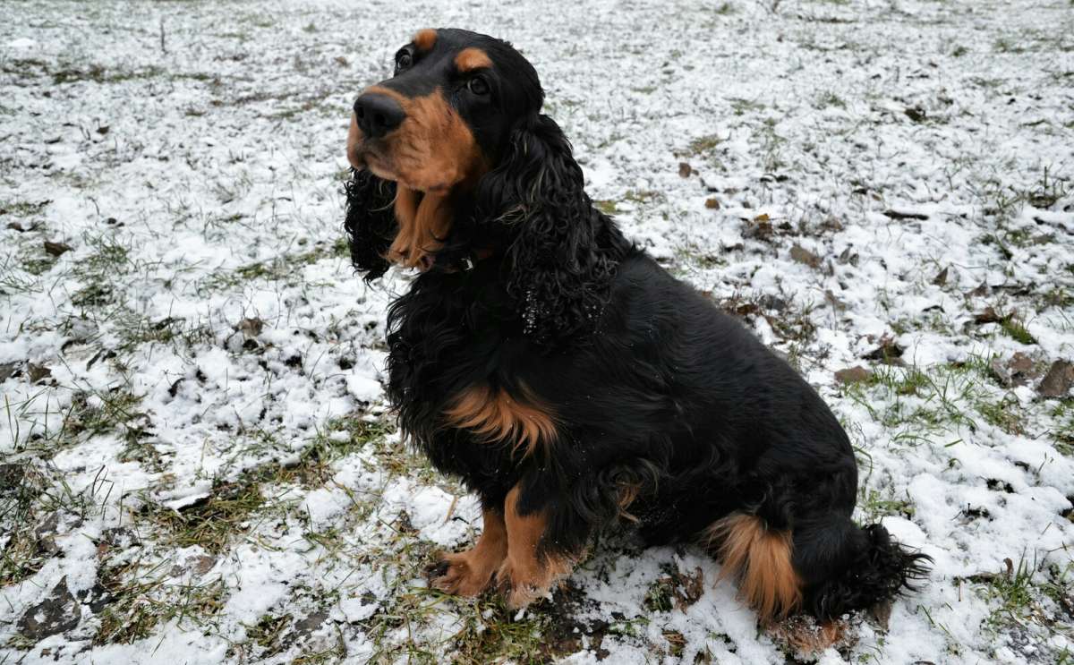 ����� � ������ �� (��������� ������ � ��������� �����) ����� �������� �������� �� PhotoGeek.ru #����� #�������� ���