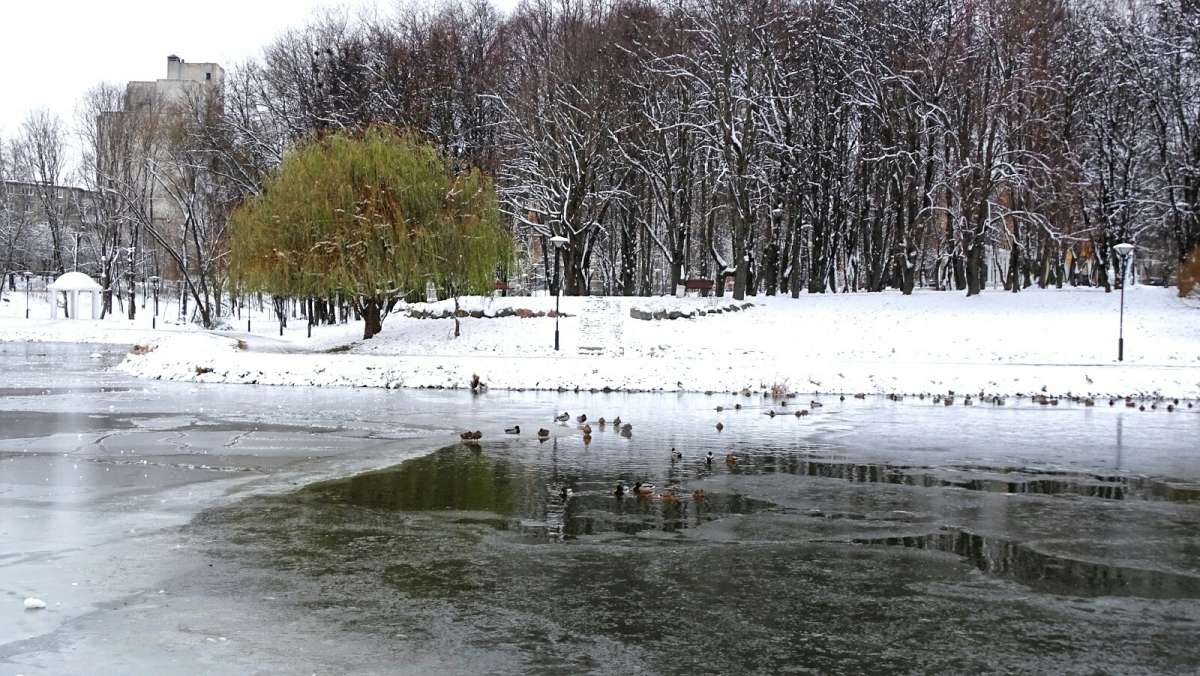 ��������� ��������� �����. ����� �������� �������� �� PhotoGeek.ru #����� #�������� ��� #������ ��� �������