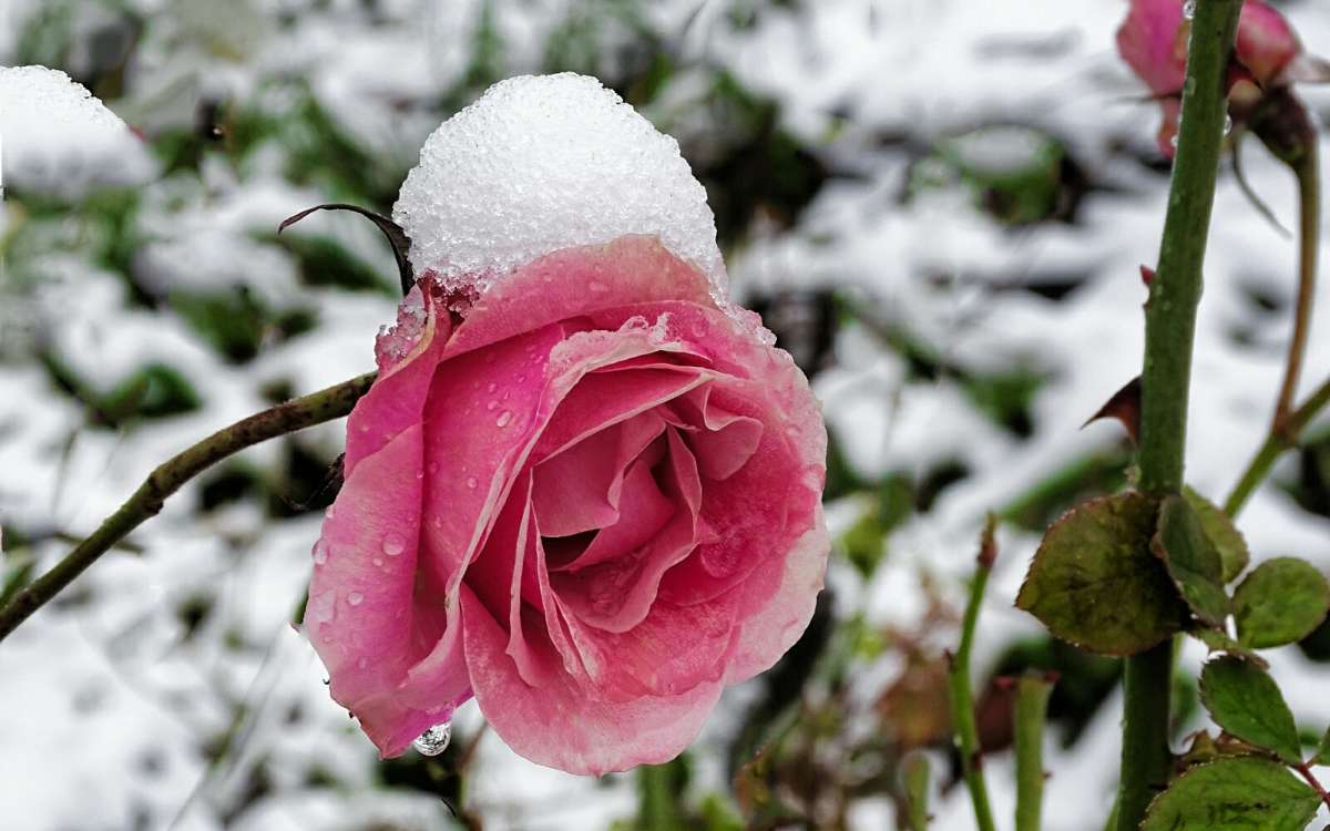 ���� ��-��� ����� ����� �������� �������� �� PhotoGeek.ru #����� #����� #������ ��� �������