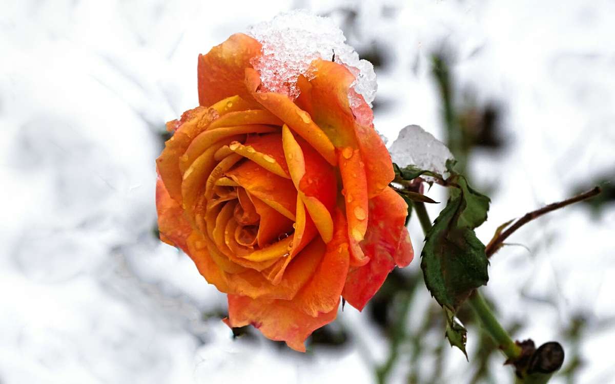 ���� ��-��� ����� ����� �������� �������� �� PhotoGeek.ru #����� #����� #������ ��� �������