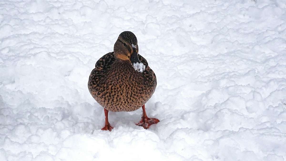 �� �������� ���� �� ����� ������. ����� �������� �������� �� PhotoGeek.ru #����� #�������� ���