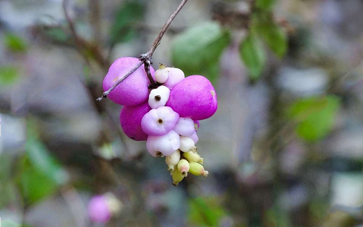 �������������. ����� �������� �������� �� PhotoGeek.ru #����� #�����