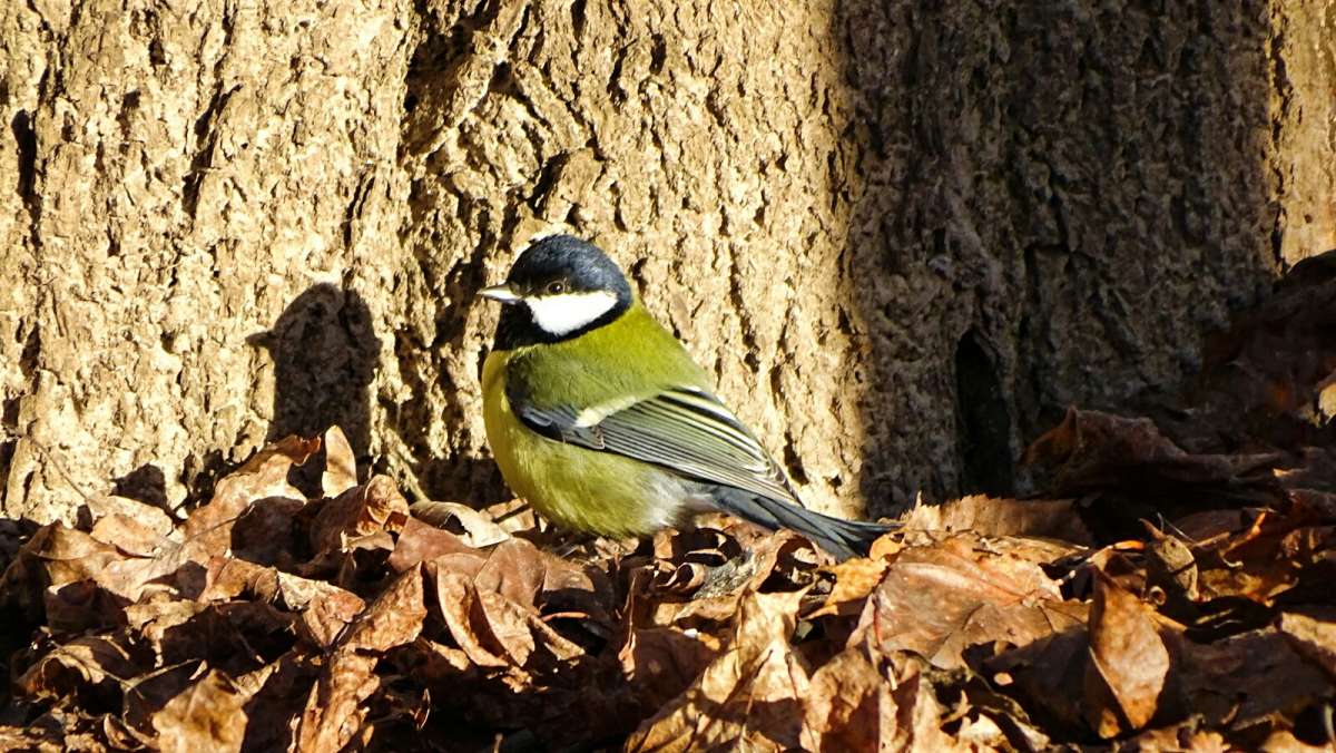 ���������� ������ � ����� �������� ������. ����� �������� �������� �� PhotoGeek.ru #�������� ���