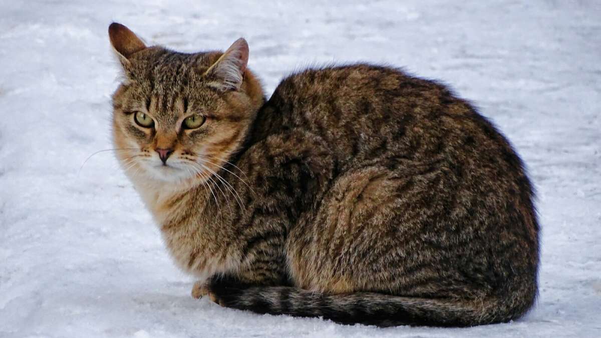 �� ����� �� �����! ����� �������� �������� �� PhotoGeek.ru #�������� ���