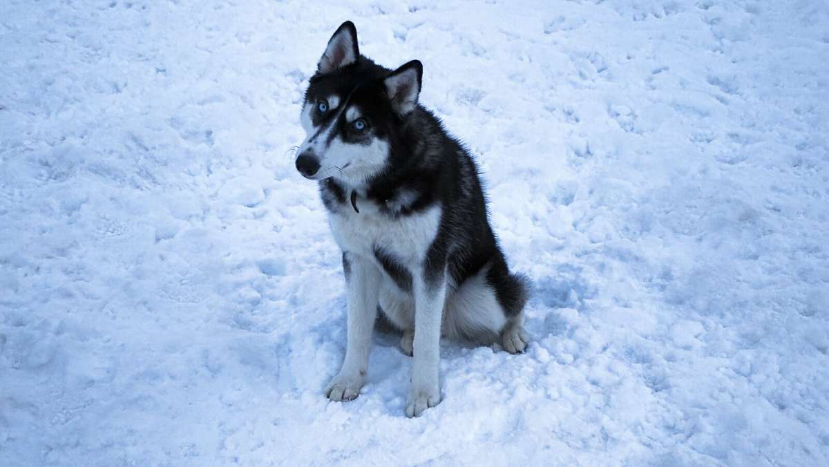 �������������� �����. ����� �������� �������� �� PhotoGeek.ru #����� #�������� ���