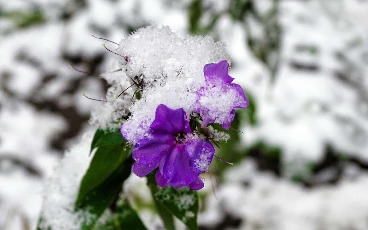  - .     PhotoGeek.ru # # #  