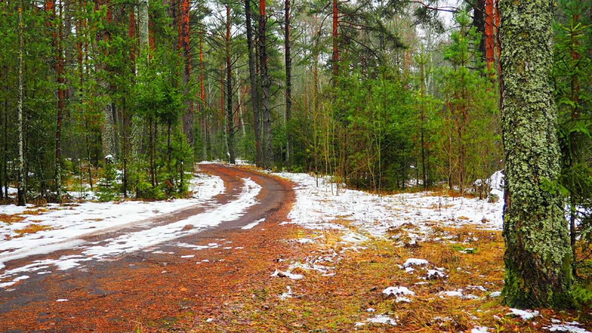 � ��������� ���� �����. ����� �������� �������� �� PhotoGeek.ru #������ ��� �������