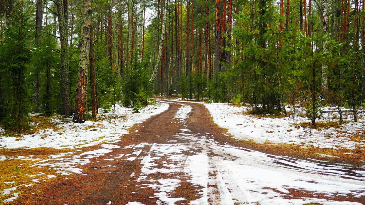 � ��������� ���� �����. ����� �������� �������� �� PhotoGeek.ru #������ ��� �������