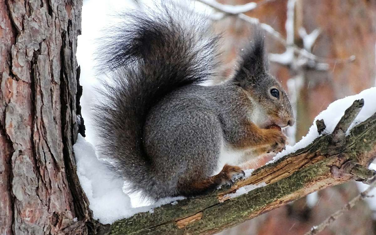 ����� ���������� �����. ����� �������� �������� �� PhotoGeek.ru #����� #�������� ���