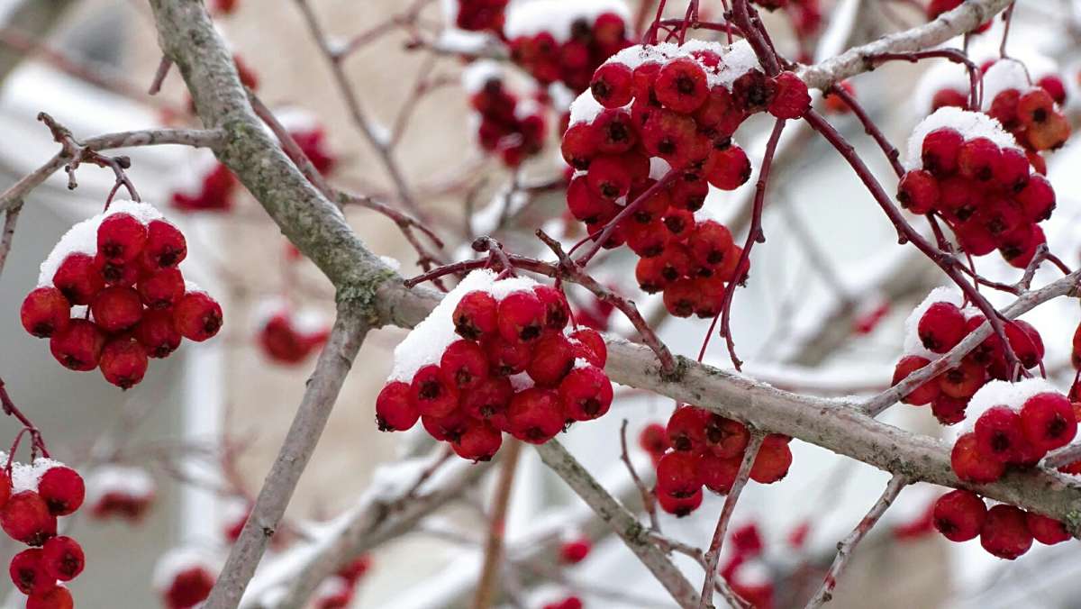 ����� ���������� ����� �������� �������� �� PhotoGeek.ru #����� #�����