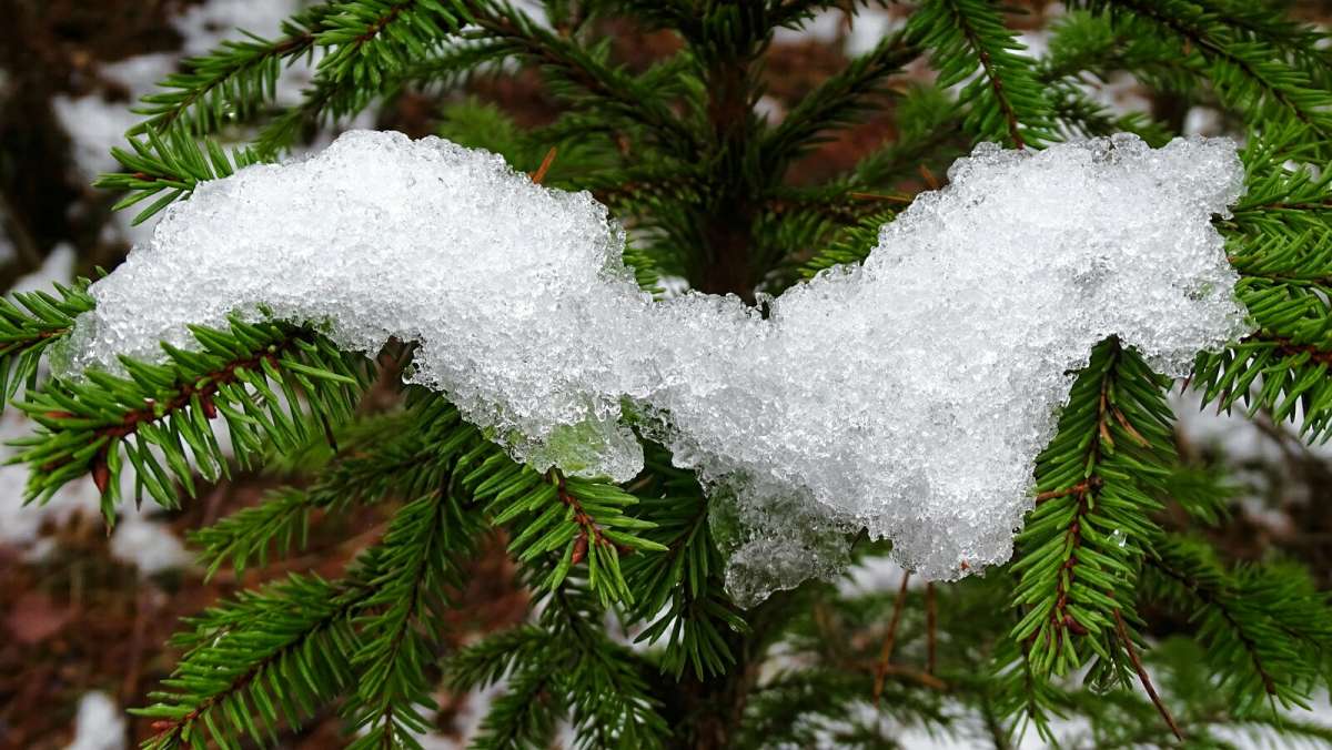 ����������� ������ �����. ����� �������� �������� �� PhotoGeek.ru #����� #������ ��� �������