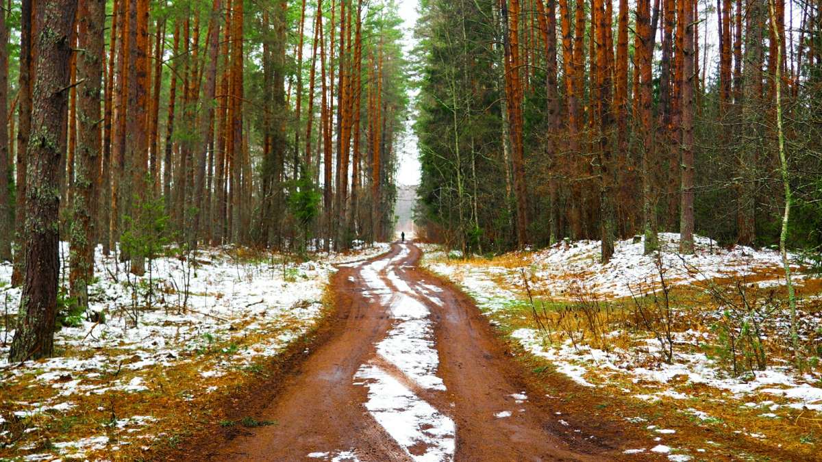 ������ �� ���� (������ ���������� � ������ ������) ����� �������� �������� �� PhotoGeek.ru #������ ��� �������