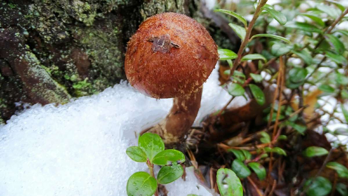 ������� ����� ��-��� �����. ����� �������� �������� �� PhotoGeek.ru #����� #������ ��� �������