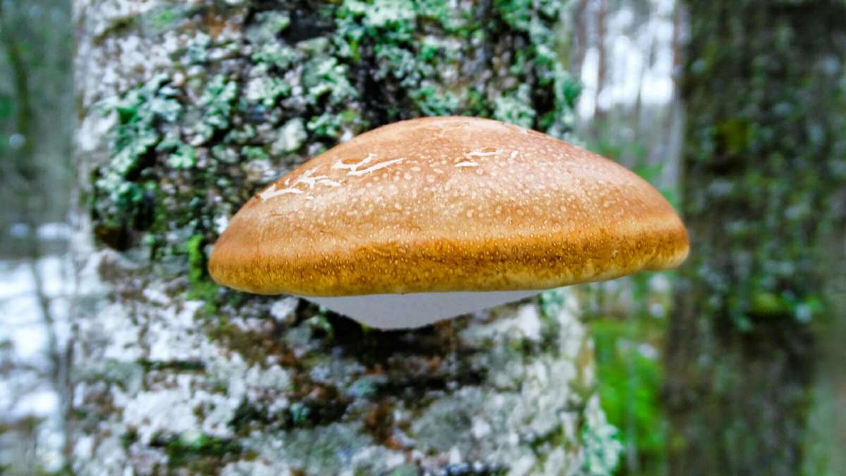 ��������� ����. ����� �������� �������� �� PhotoGeek.ru #����� #������ ��� �������