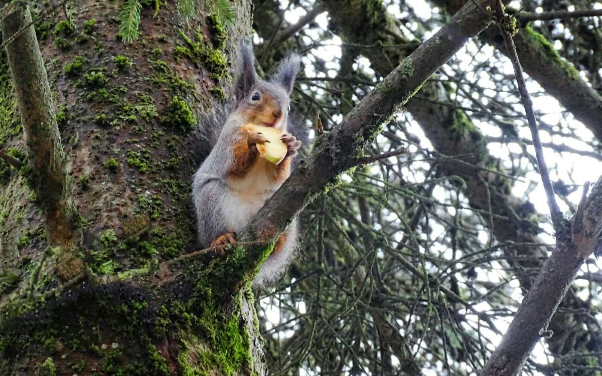 ����� � �������� ������. ����� �������� �������� �� PhotoGeek.ru #����� #�������� ���