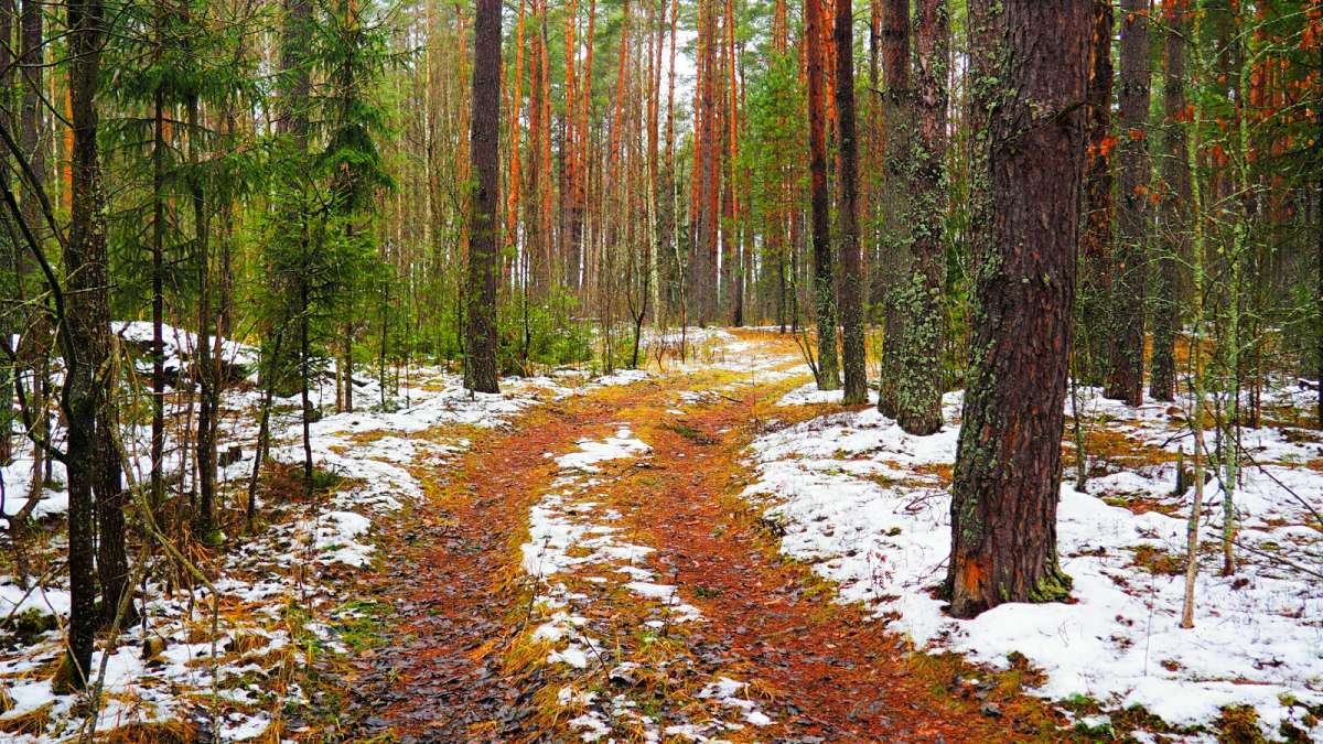 � ��������� ���� �����. ����� �������� �������� �� PhotoGeek.ru #������ ��� �������